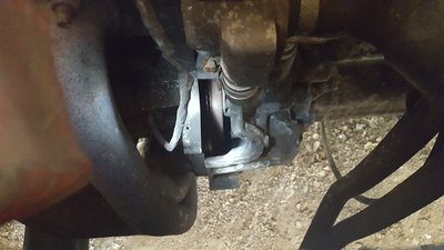 20160815_104149.jpg