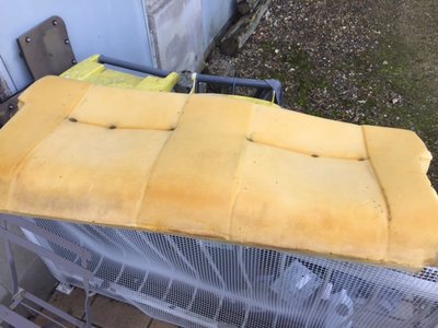 IMG_5596.JPG (118.24 Kio) Vu 2315 fois la mousse impeccable pour son âge