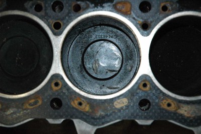 DSC_0246 %5B50%25%5D.JPG