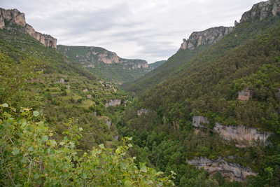 DSC_0161.JPG