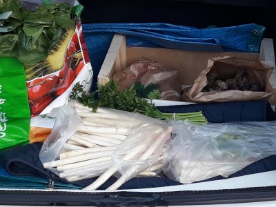 20210401_184259.jpg (2.6 Mio) Vu 3878 fois Quelques légumes