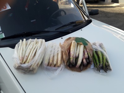 20210401_184533.jpg (3.39 Mio) Vu 2993 fois Petit échantillon d'asperges pour le gourou