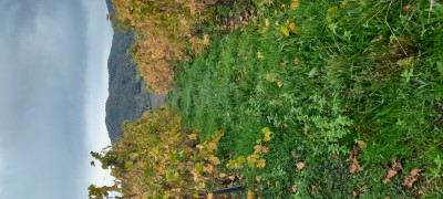 20221023_161325.jpg