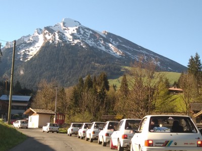 IMG_20240510_082101.jpg