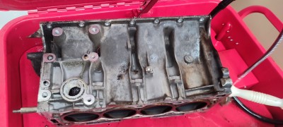 IMG_20240622_104454.jpg