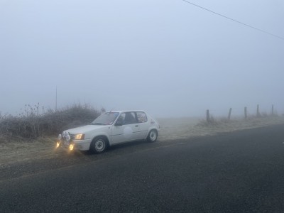 IMG_9504.jpeg