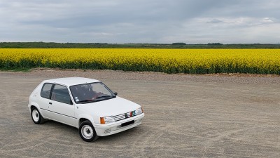 Rallye-jaune.jpg