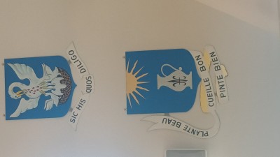 20250530_125412.jpg