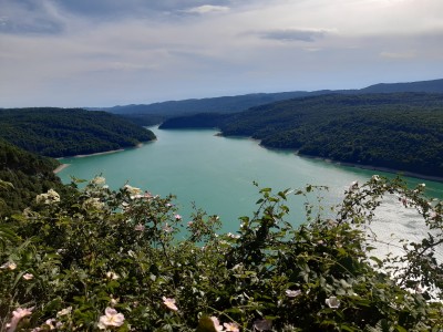 20250531_174050.jpg