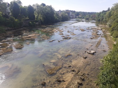 20250601_095644.jpg