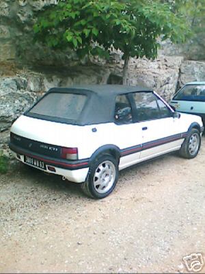 252e_1.jpg