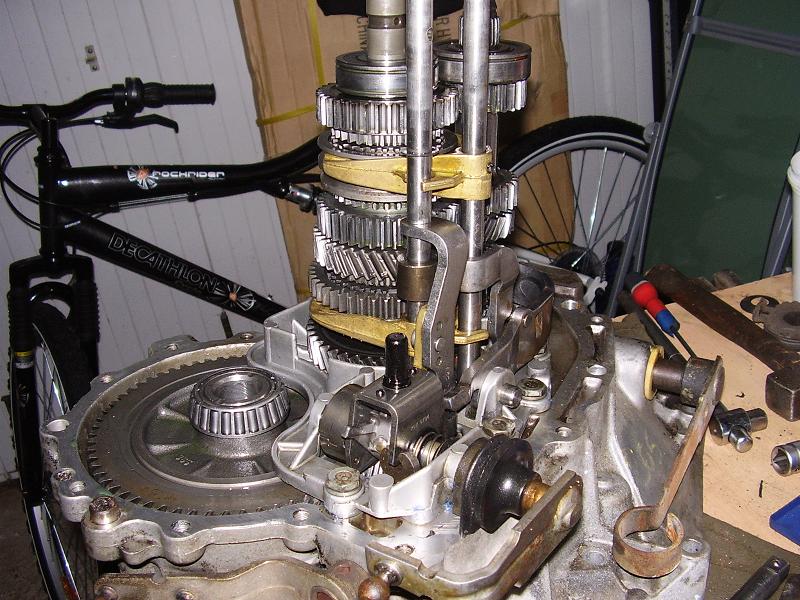 Copie de pignonerie.4.jpg