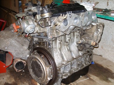 SS850973.JPG