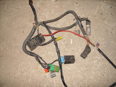 SS852655.JPG