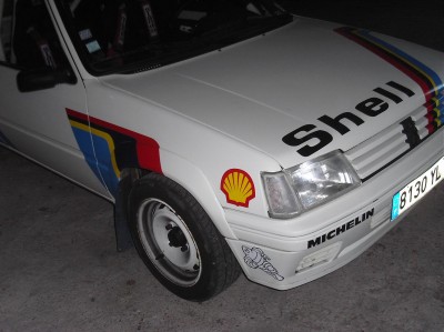 collage des coquilles shell devant