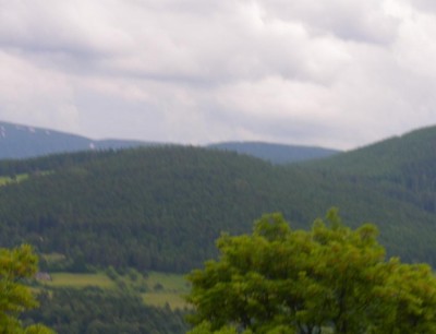 IMGP0405.JPG