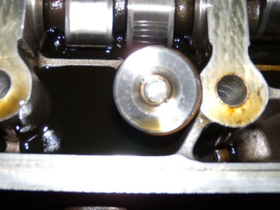 DSCN0101.JPG