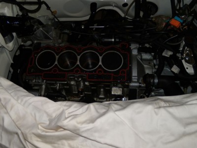 DSCN0102.JPG
