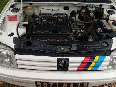 DSCN0201.JPG