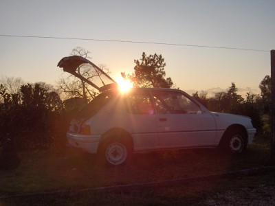 Restauration 19 Décembre 2009 002.jpg (379.09 Kio) Vu 1050 fois avec ce beau soleil,j'ai pas pu résisté,........