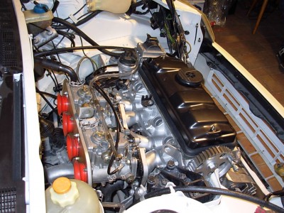 f21737479.jpg