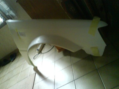 ailes fibres (1).JPG