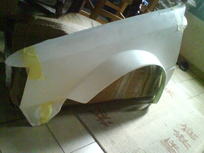 ailes fibres (2).JPG