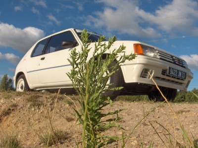 Fin de restauration le 2 Août 2010 015.jpg