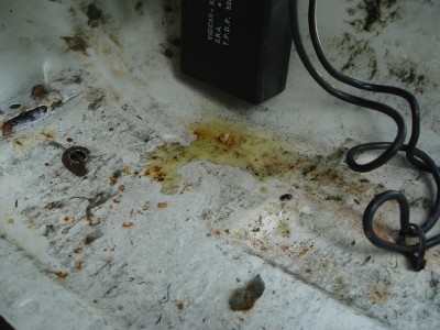 voici donc la tache visqueuse qui s'ecoule tel un nectar!!!