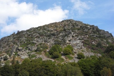 SDC18086.JPG