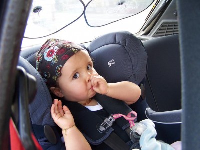 début mai 2008 075.JPG