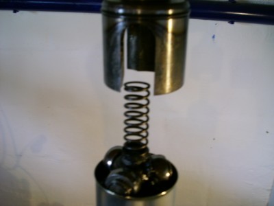 présentation des tulipes