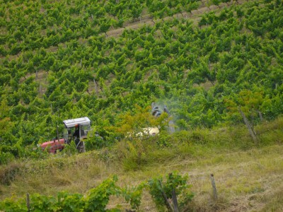 Alors,.....on fait du tracteur?