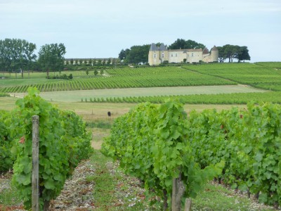 Yquem