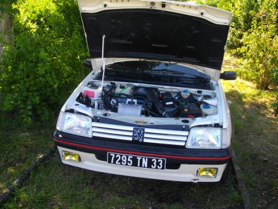 205 CTI le 25 Juin 2011 010.jpg