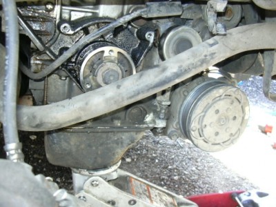 DSCN0381.JPG