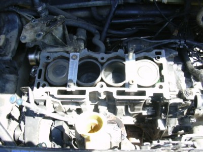 DSCN0382.JPG