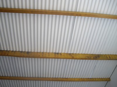 IMGP4575.JPG