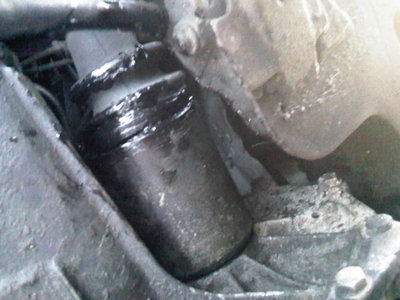 IMG00352-20120114-1521.jpg