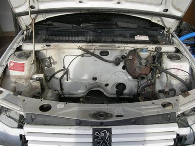 DSCN6661.JPG