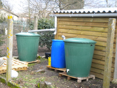 DSCN2847.jpg