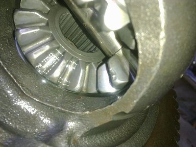 26022012900.jpg fofo.jpg
