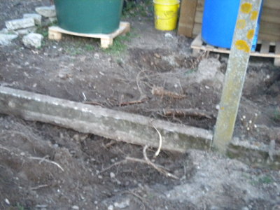 DSCN2897.jpg
