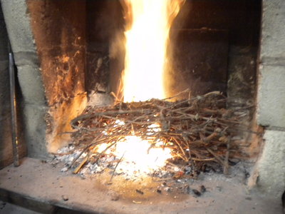 DSCN2905.jpg