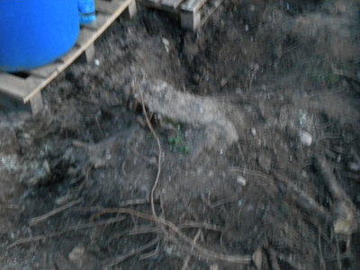 DSCN2893.jpg