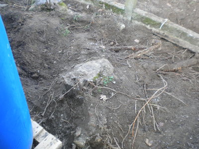 DSCN2912.jpg