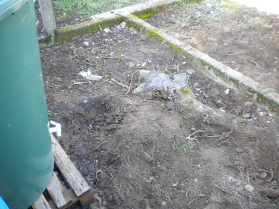 DSCN2913.jpg