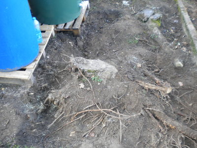 DSCN2914.jpg
