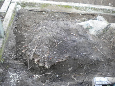DSCN2915.jpg