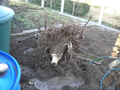 DSCN2917.jpg